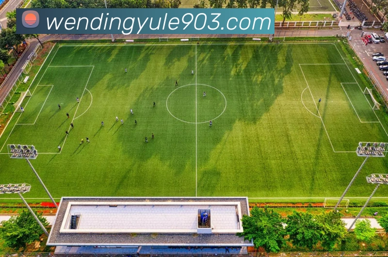 问鼎娱乐平台生态图